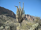 photo thumbnail #4