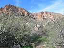 photo thumbnail #3
