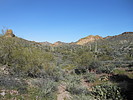photo thumbnail #1