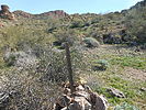 photo thumbnail #2