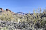 photo thumbnail #4