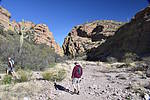 photo thumbnail #7