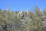 photo thumbnail #8