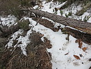 photo thumbnail #13