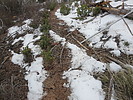 photo thumbnail #15