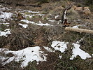 photo thumbnail #9