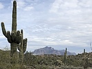 photo thumbnail #1