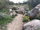 photo thumbnail #8