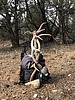 photo thumbnail #3