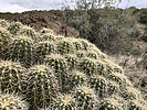 photo thumbnail #8