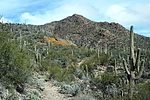 photo thumbnail #3