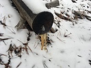 photo thumbnail #9