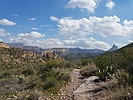 photo thumbnail #2