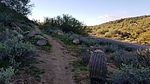 photo thumbnail #1