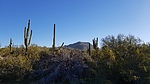 photo thumbnail #5