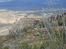 photo thumbnail #10