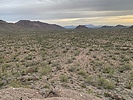 photo thumbnail #2