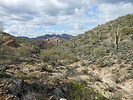 photo thumbnail #5