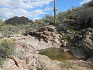 photo thumbnail #13