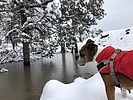photo thumbnail #3