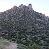 photo thumbnail #6