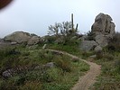 photo thumbnail #9