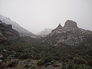 recent photo