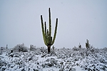photo thumbnail #12