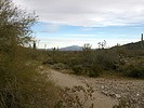 photo thumbnail #2