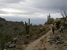 photo thumbnail #9