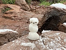 photo thumbnail #7