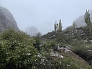 photo thumbnail #8