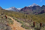 photo thumbnail #3