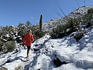 photo thumbnail #4