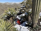 photo thumbnail #6