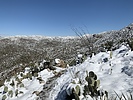 photo thumbnail #7