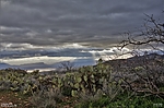 photo thumbnail #5
