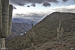 photo thumbnail #9