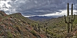 photo thumbnail #11