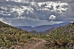 photo thumbnail #14