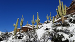 photo thumbnail #7