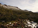 photo thumbnail #12