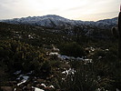 photo thumbnail #13