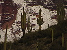 photo thumbnail #15
