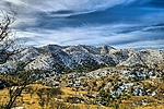 photo thumbnail #4