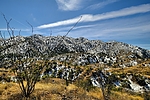 photo thumbnail #14