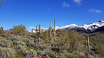 photo thumbnail #3