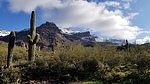 photo thumbnail #6