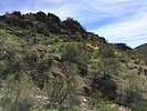 photo thumbnail #4
