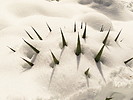 photo thumbnail #14